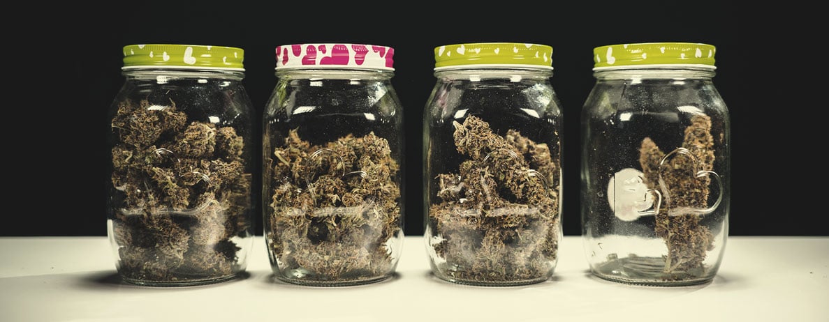 Die Qualität des Cannabis