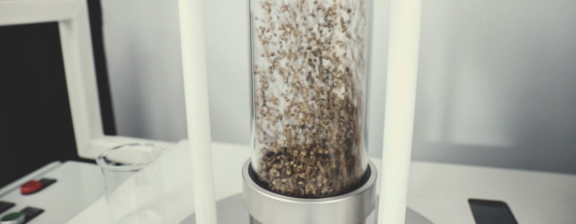 Der Qualitätskontrollprozess von Royal Queen Seeds: Schritt für Schritt Der Qualitätskontrollprozess von Royal Queen Seeds: Schritt für Schritt