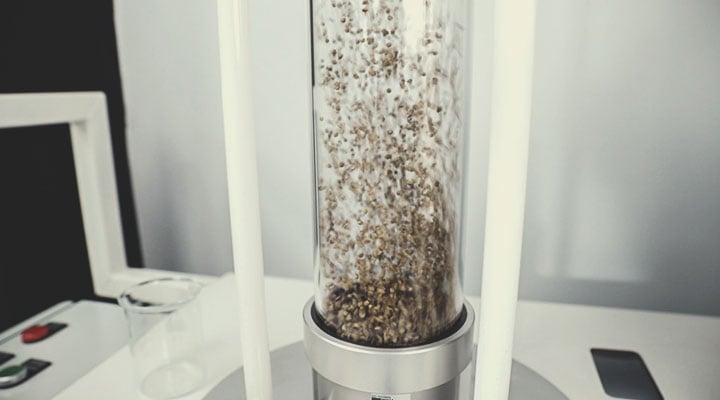 Der Qualitätskontrollprozess von Royal Queen Seeds: Schritt für Schritt Der Qualitätskontrollprozess von Royal Queen Seeds: Schritt für Schritt