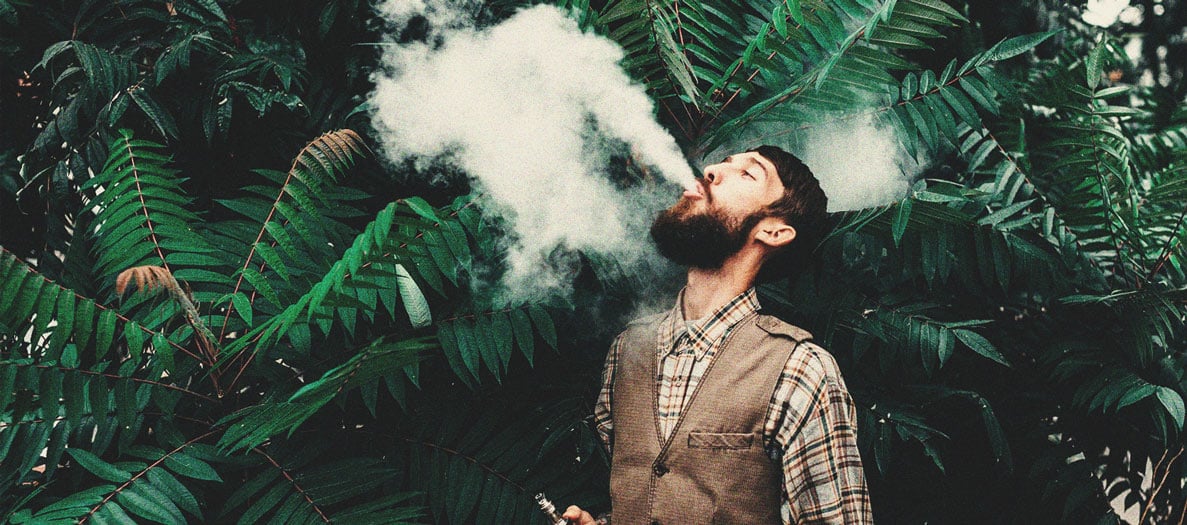 Wie man Hasch verdampft und welchen Vaporizer man dafür verwenden sollte Wie man Hasch verdampft und welchen Vaporizer man dafür verwenden sollte