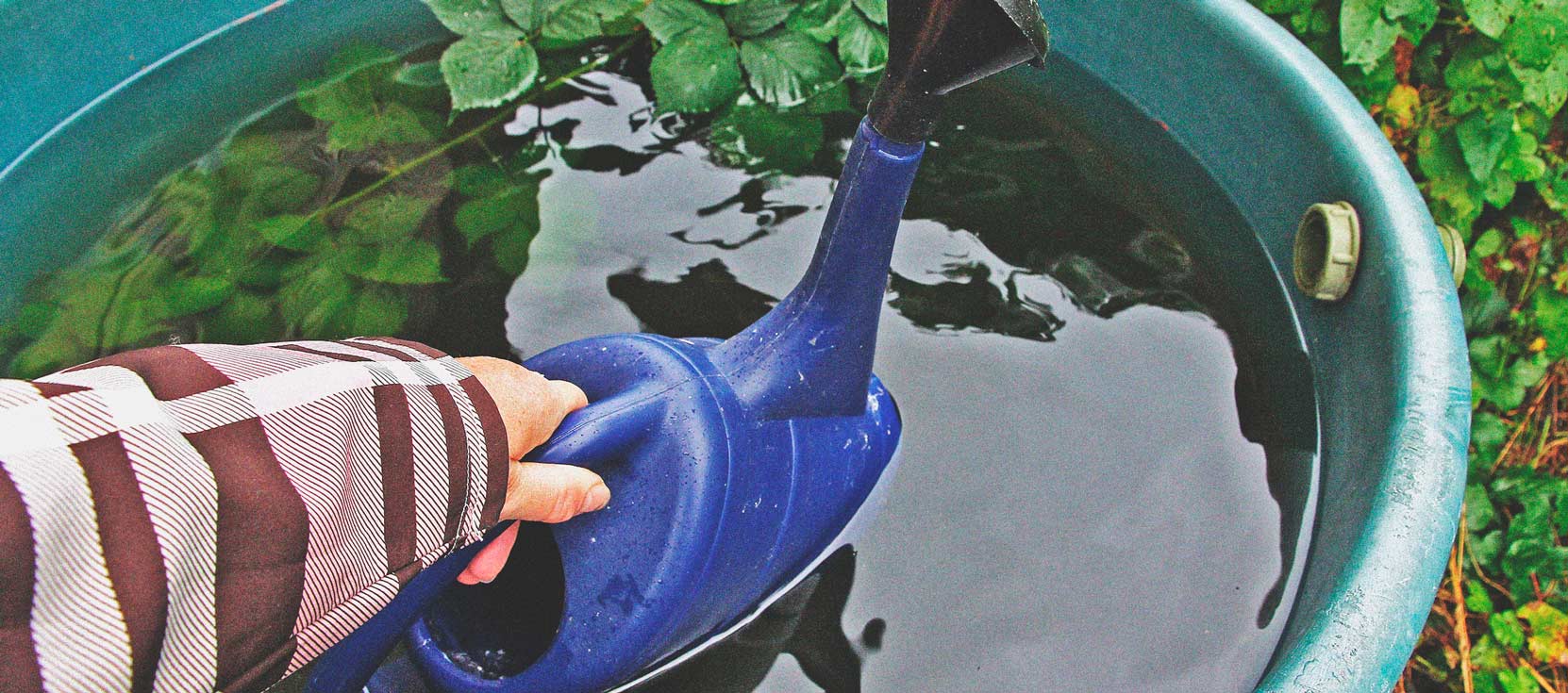 Cannabis und Wasserqualität Teil 3: Die Wahl der Wasserquelle Cannabis und Wasserqualität Teil 3: Die Wahl der Wasserquelle