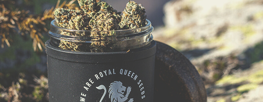 RQS STASH JAR RQS STASH JAR