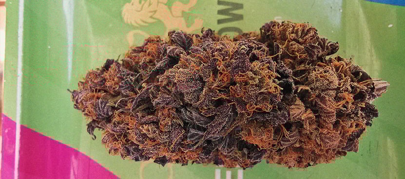 The Importance Of Pistils To Cannabis Growers The Importance Of Pistils To Cannabis Growers