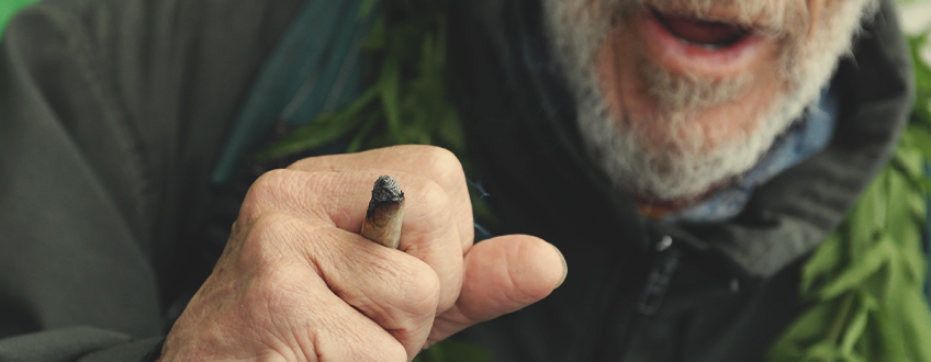 DIE CANNABIS BEWEGUNG IN SPANIEN