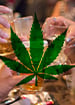 TOP POPULAR CBD