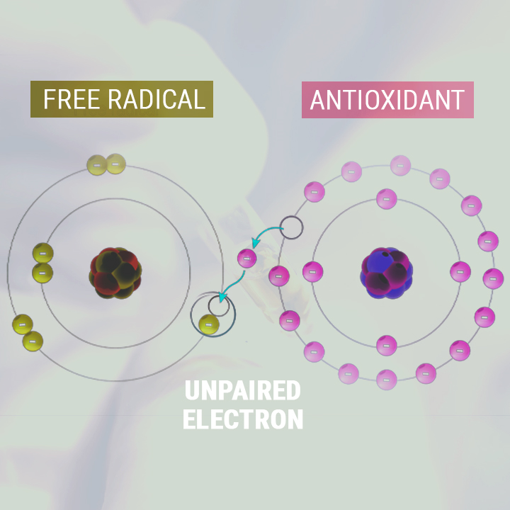 CBD-ÖL ALS ANTIOXIDANS CBD-ÖL ALS ANTIOXIDANS