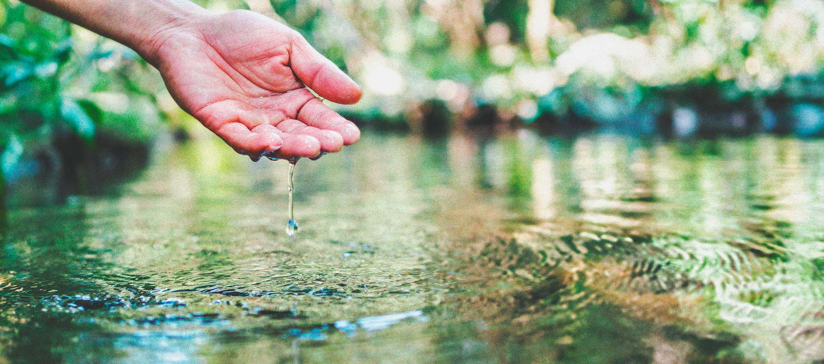 Cannabis und Wasserqualität Teil 3: Die Wahl der Wasserquelle