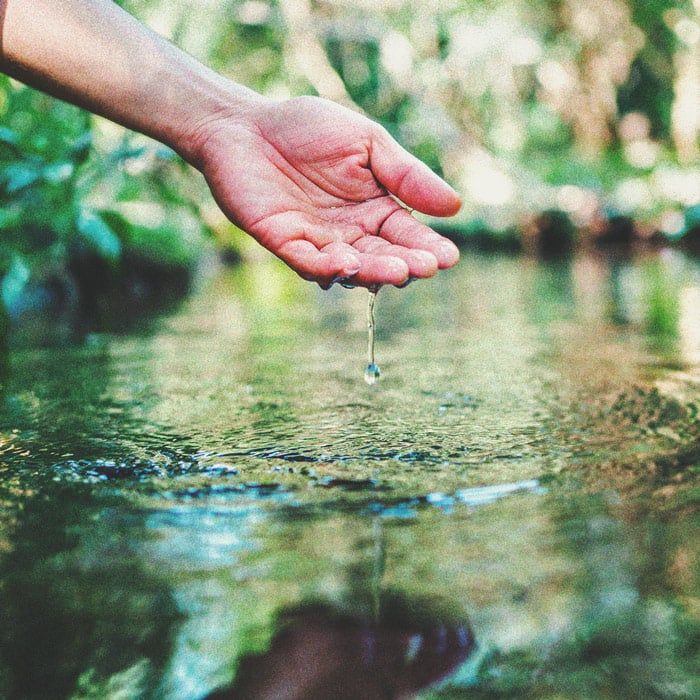 Cannabis und Wasserqualität Teil 3: Die Wahl der Wasserquelle