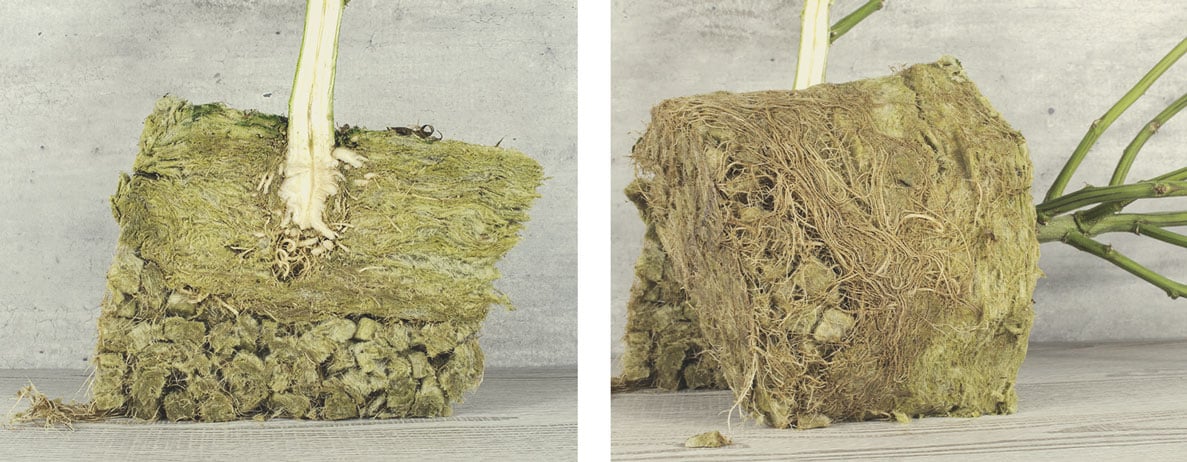 Kann Steinwolle kompostiert werden?