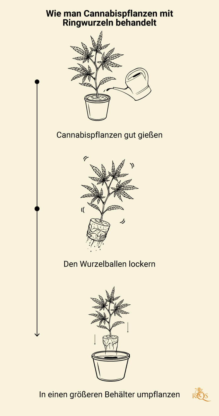 Rootbound Solution