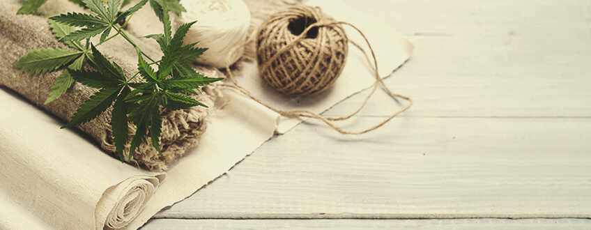 Erneuerbare Ressourcen und Bioremediation