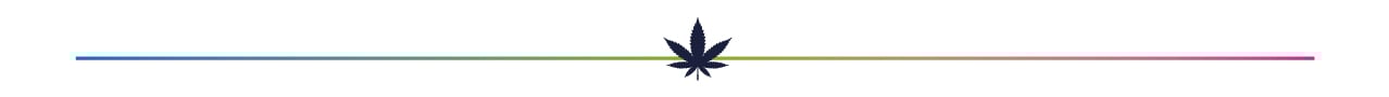 European 2022 Drug Survey