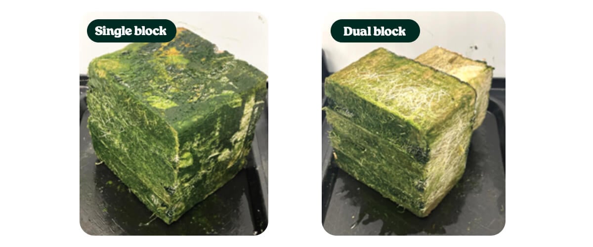 Steinwollsubstrate für Versuch 6: Single Block vs Dual Block Steinwollblöcke aus Cannabis-Versuchen mit Vergleich von Single-Block- und Dual-Block-Wurzelzonen