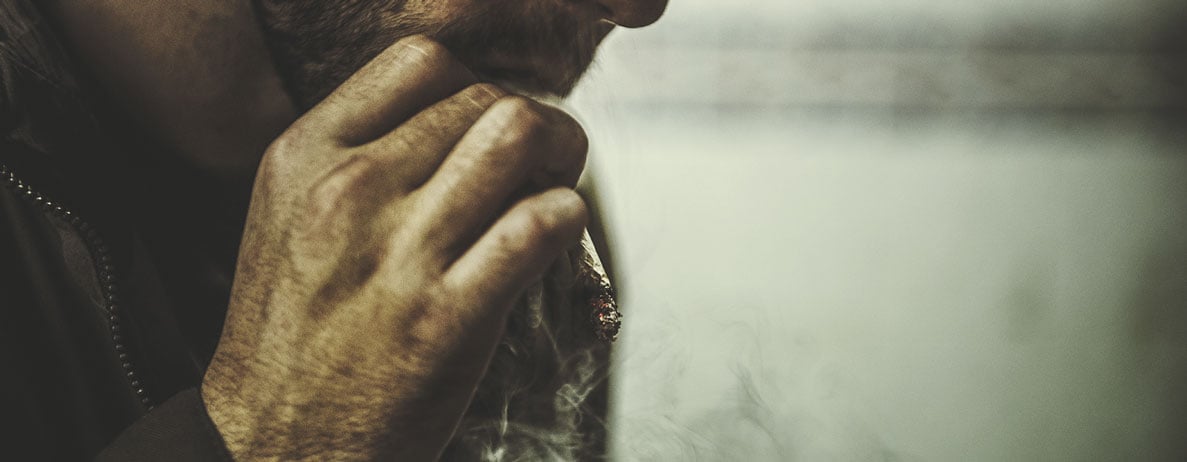 Wie Cannabis vom Körper abgebaut wird Wie Cannabis vom Körper abgebaut wird