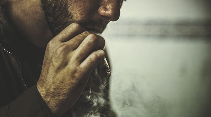 Wie Cannabis vom Körper abgebaut wird Wie Cannabis vom Körper abgebaut wird