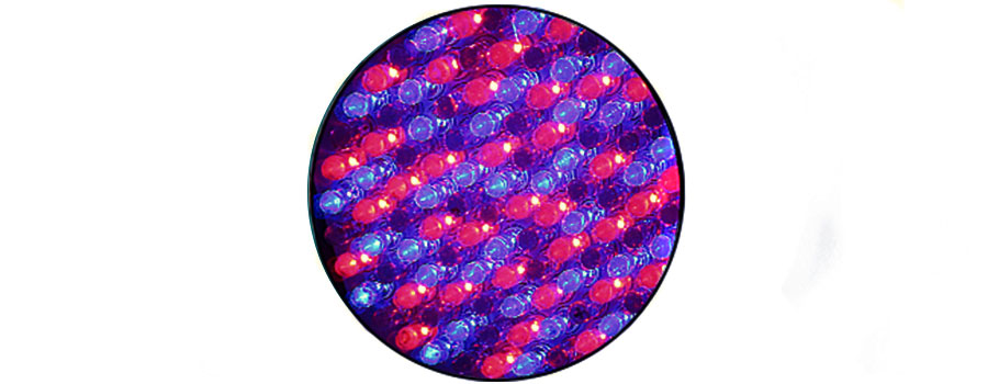 STANDARD („VIOLETTE“) LED