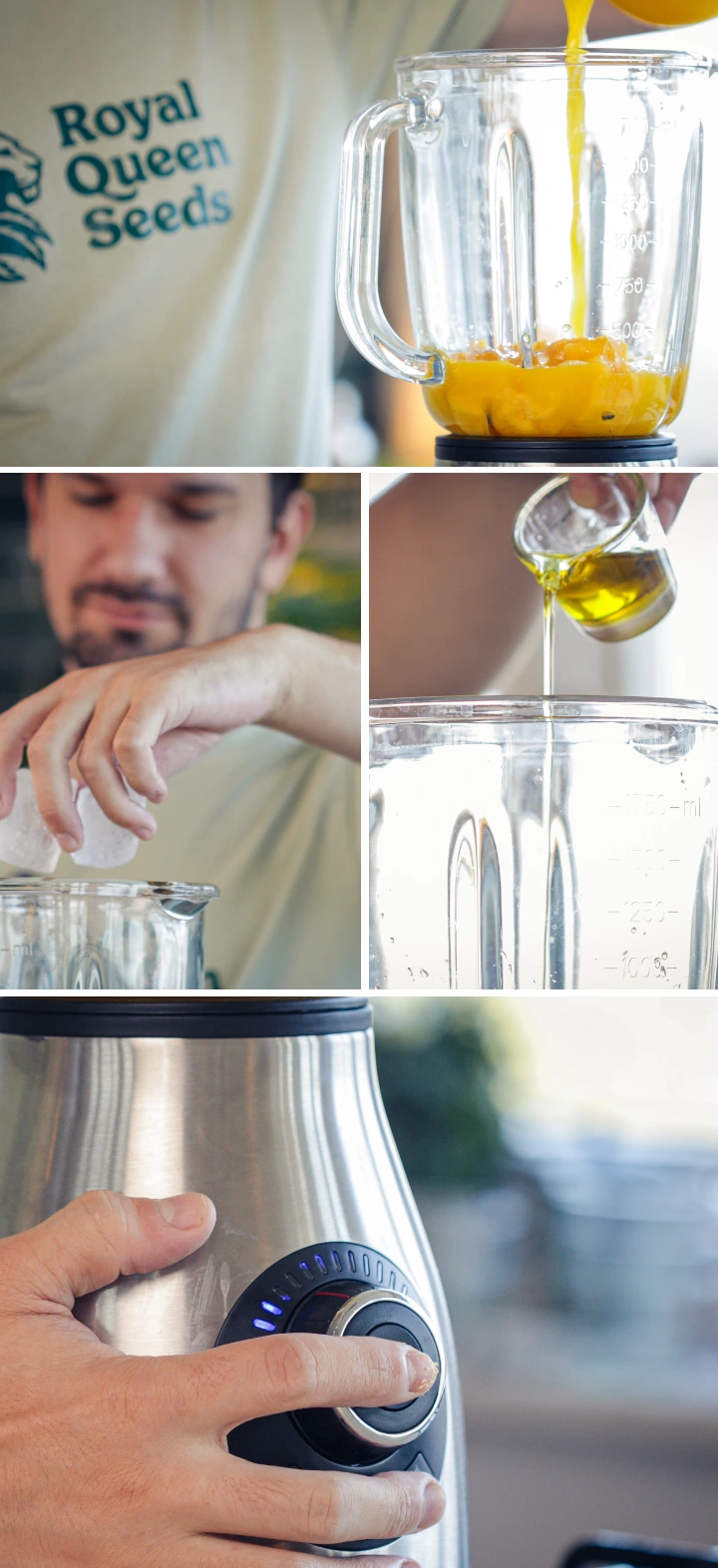 Schritt 3: Mango, Minze, Cannabis-MCT-Öl und Lecithin in den Mixer geben Hinzufügen von gehackter Mango, Minze, Eiswürfeln, Cannabis-MCT-Öl und Lecithin in den Mixerbehälter vor dem Mixen.