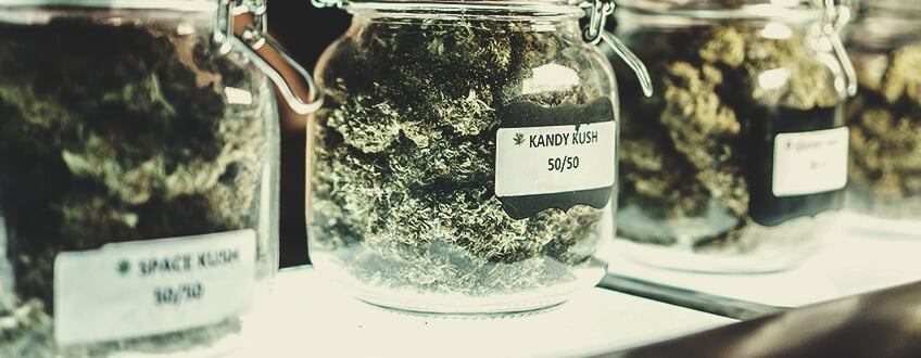 Aktuelle Cannabisklassifizierung: Eine Belastung für die Branche? Aktuelle Cannabisklassifizierung: Eine Belastung für die Branche?