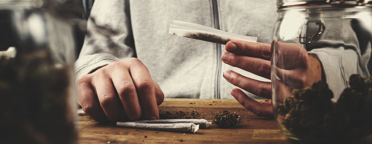 Geschmack und Wirkung von Cannabissorten: Ein Leitfaden Geschmack und Wirkung von Cannabissorten: Ein Leitfaden