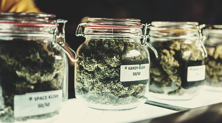 Aktuelle Cannabisklassifizierung: Eine Belastung für die Branche?