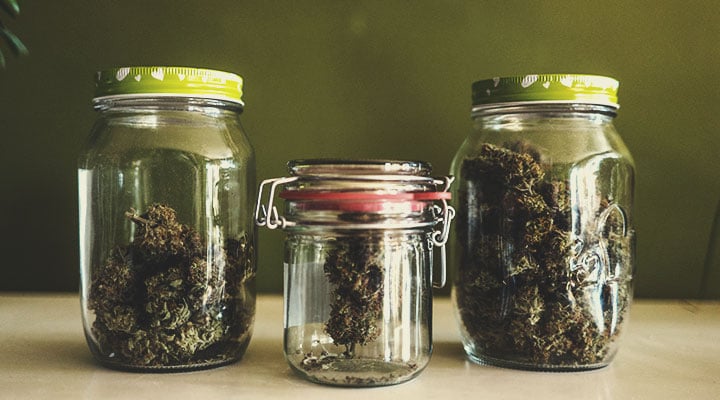Die Effekte verschiedener Cannabinoidprofile Die Effekte verschiedener Cannabinoidprofile