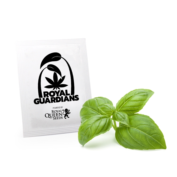 buy Sweet Basil Royal Guardians buy Sweet Basil Royal Guardians online