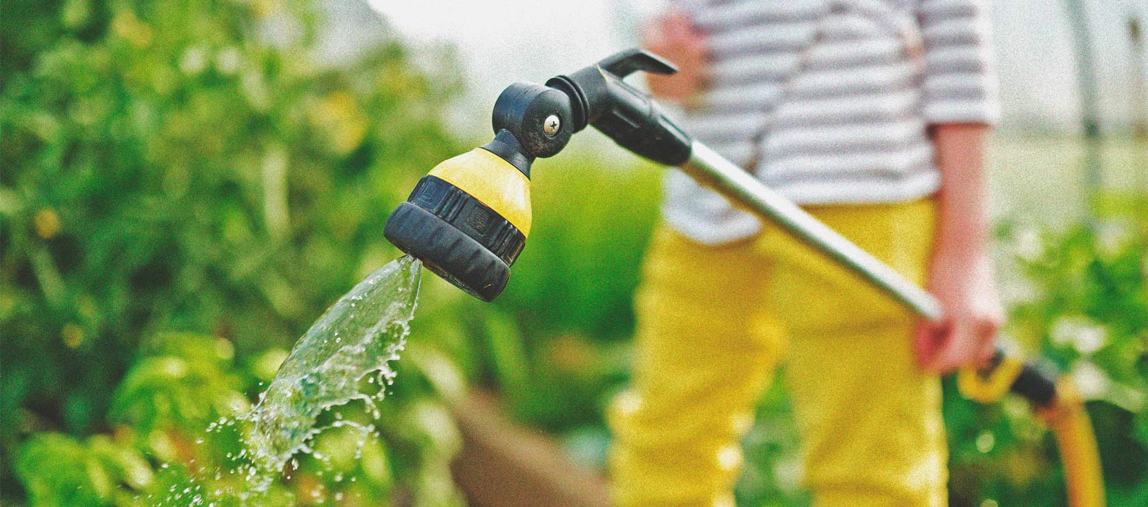 Cannabis und Wasserqualität Teil 3: Die Wahl der Wasserquelle Cannabis und Wasserqualität Teil 3: Die Wahl der Wasserquelle