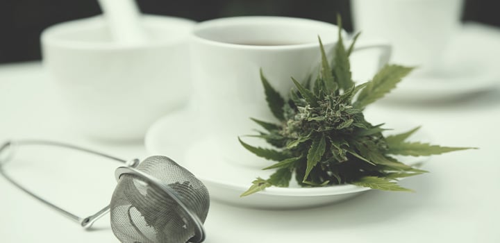 Alle Verwendungsmöglichkeiten für Cannabis Alle Verwendungsmöglichkeiten für Cannabis