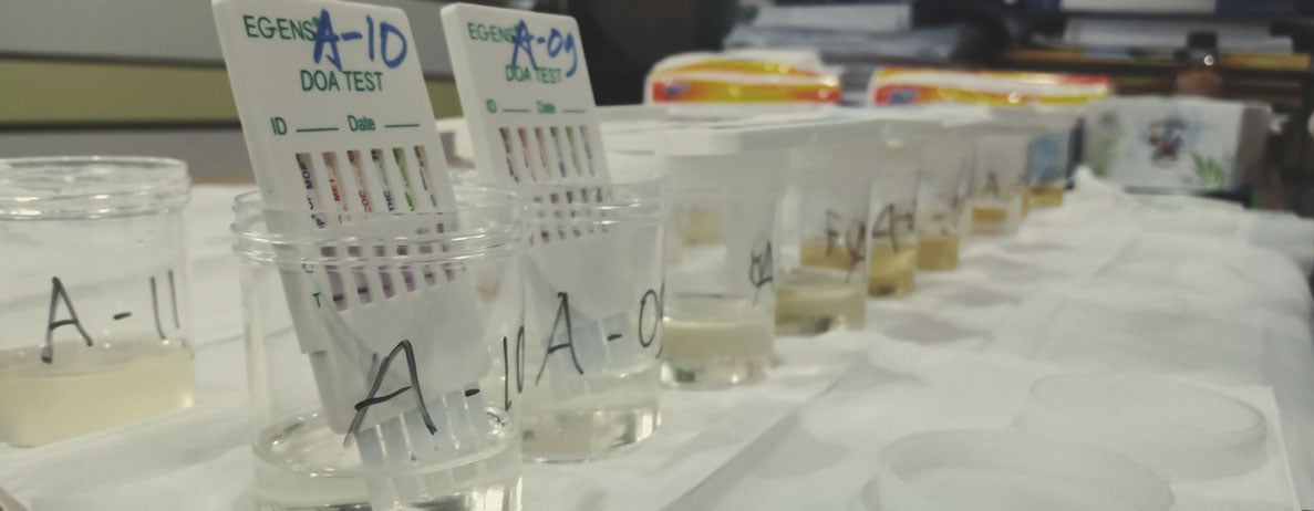 Wie lange ist THC im Körper nachweisbar? Wie lange ist THC im Körper nachweisbar?