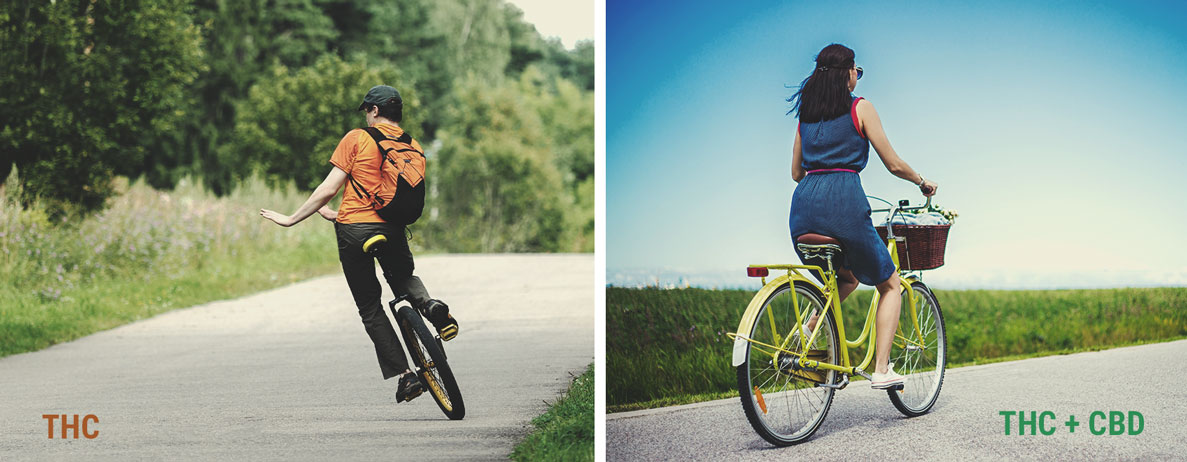CBD Vs. THC CBD Vs. THC