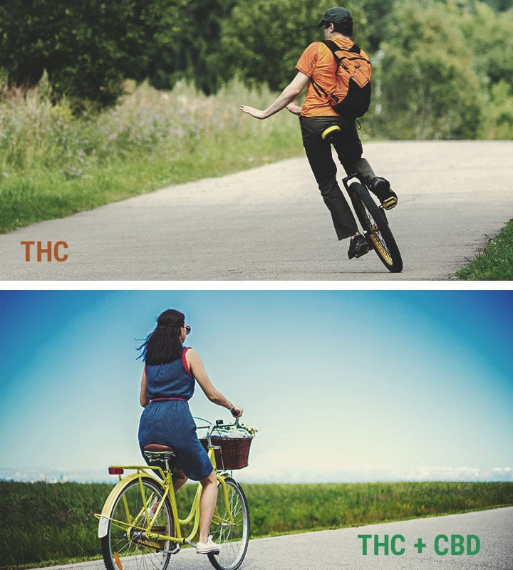 CBD Vs. THC CBD Vs. THC