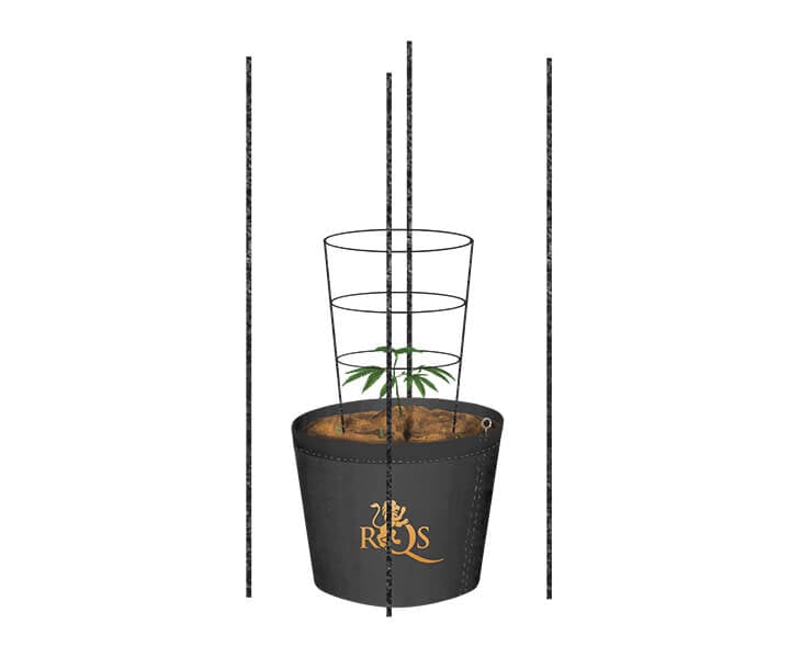Wie man im Freien ein Rankgitter für Cannabis baut Wie man im Freien ein Rankgitter für Cannabis baut
