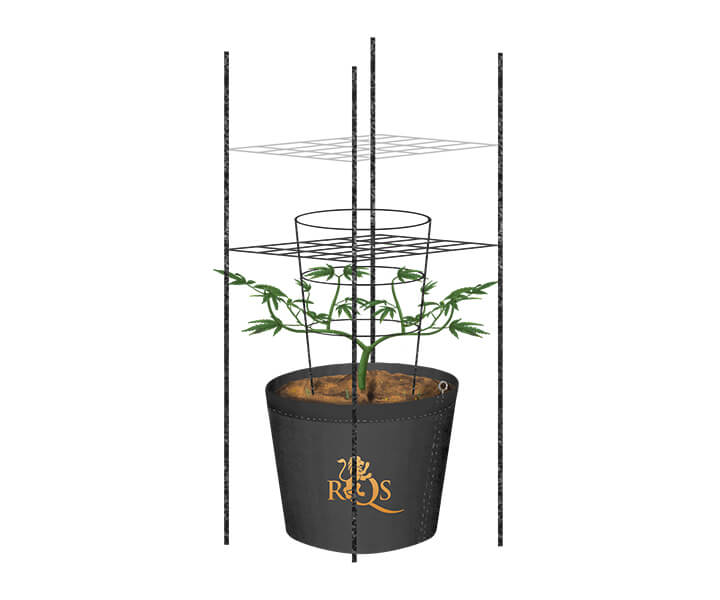 Wie man im Freien ein Rankgitter für Cannabis baut Wie man im Freien ein Rankgitter für Cannabis baut