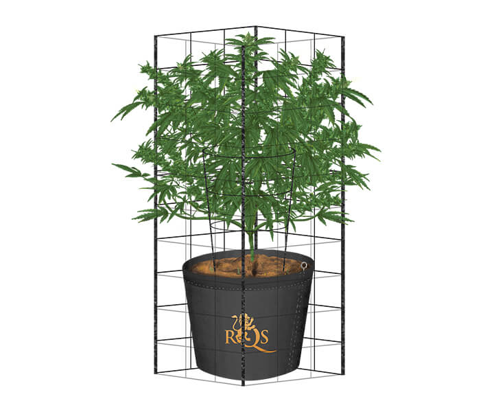 Wie man im Freien ein Rankgitter für Cannabis baut Wie man im Freien ein Rankgitter für Cannabis baut