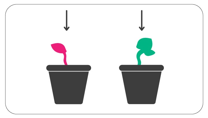 Step 4 Step 4