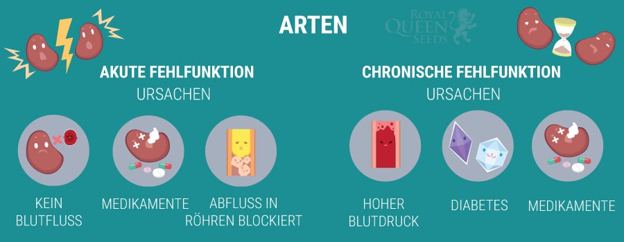 Arten