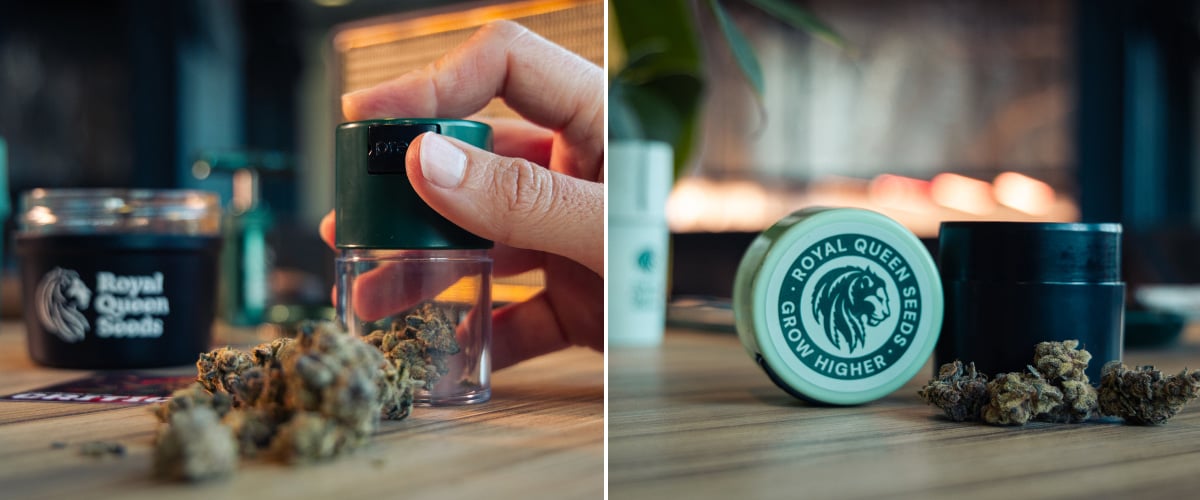 Bild von Cannabisblüten neben kompakten, vakuumversiegelten Aufbewahrungsbehältern auf einer Holzoberfläche.