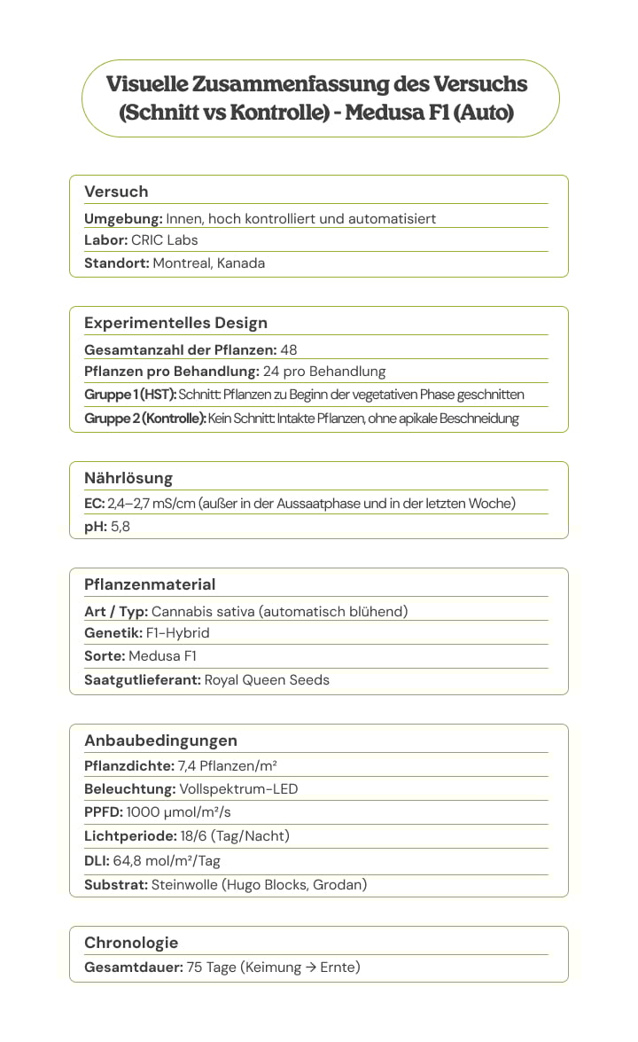 Visuelle Zusammenfassung des Medusa F1 (Auto)-Versuchs: Topping vs Kontrolle, mit Versuchsaufbau, Pflanzenmaterial, Anbaubedingungen, Nährlösung und Zeitplan