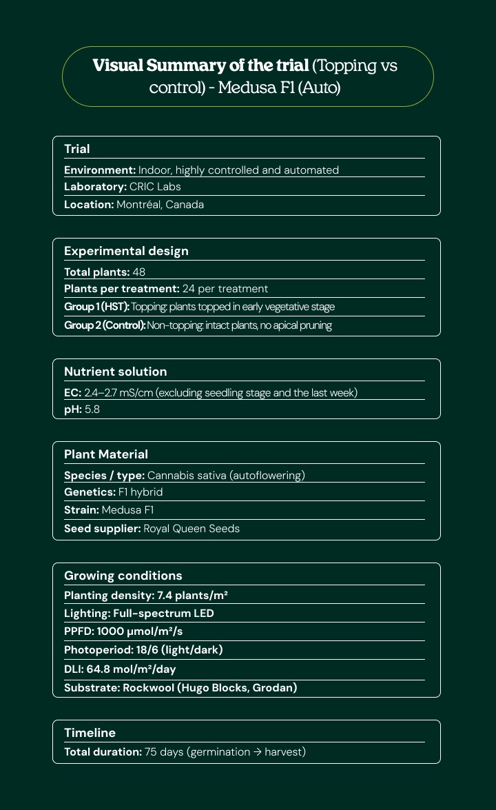Visuelle Zusammenfassung des Medusa F1 (Auto)-Versuchs: Topping vs Kontrolle, mit Versuchsaufbau, Pflanzenmaterial, Anbaubedingungen, Nährlösung und Zeitplan