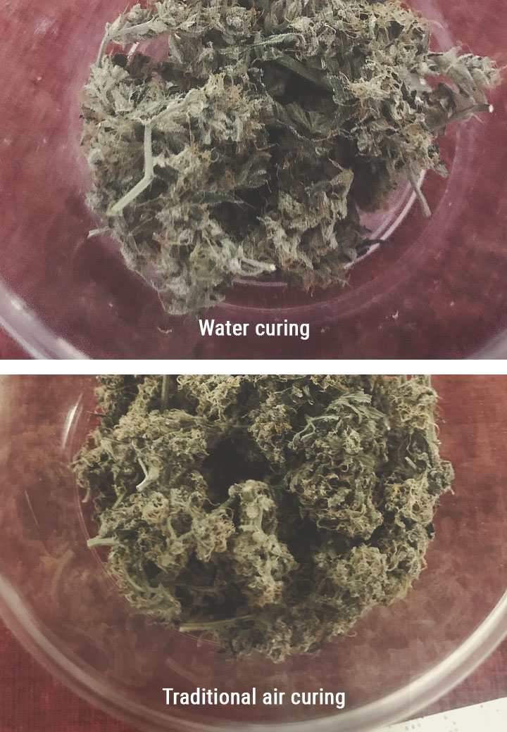 Welche Vorteile hat Water Curing? Welche Vorteile hat Water Curing?