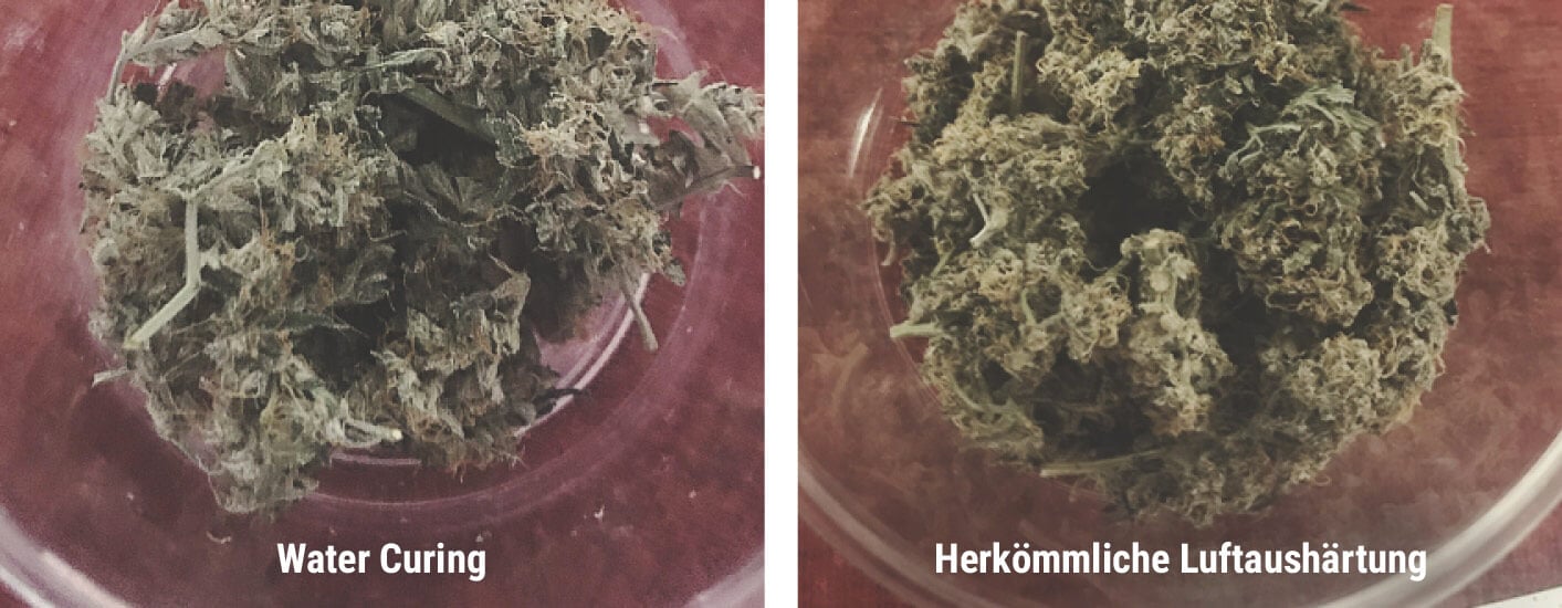 Welche Vorteile hat Water Curing? Welche Vorteile hat Water Curing?