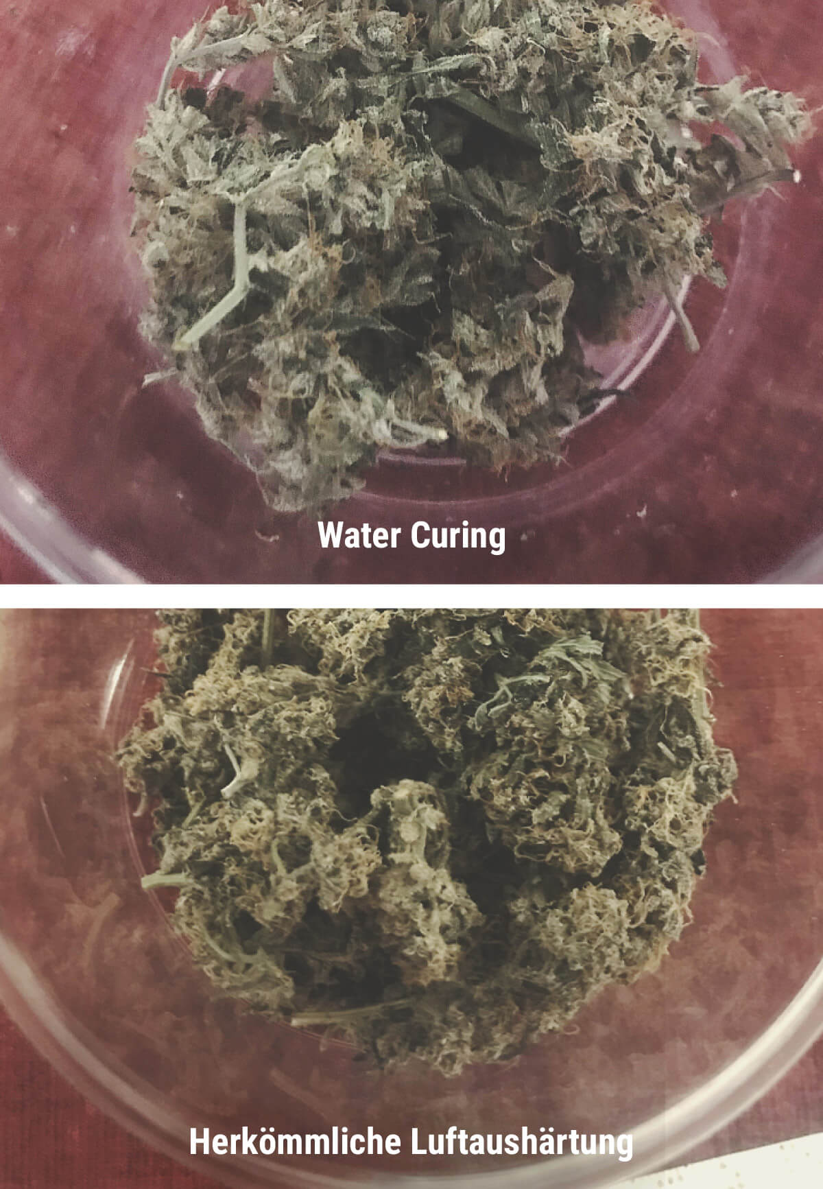 Welche Vorteile hat Water Curing? Welche Vorteile hat Water Curing?