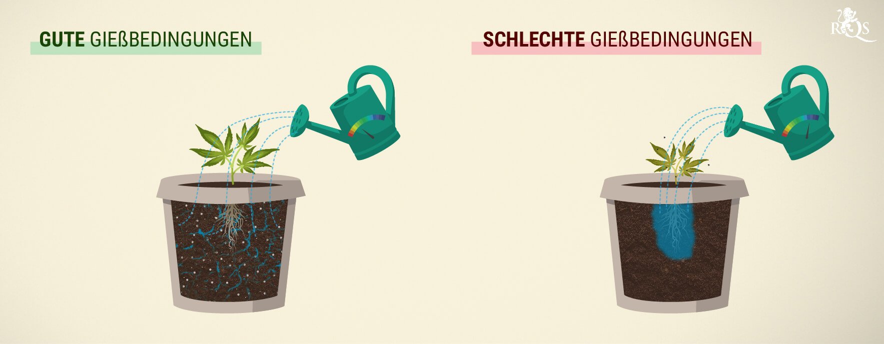 Wie Viel Wasser Solltest Du Deinen Cannabispflanzen Geben? Wie Viel Wasser Solltest Du Deinen Cannabispflanzen Geben?