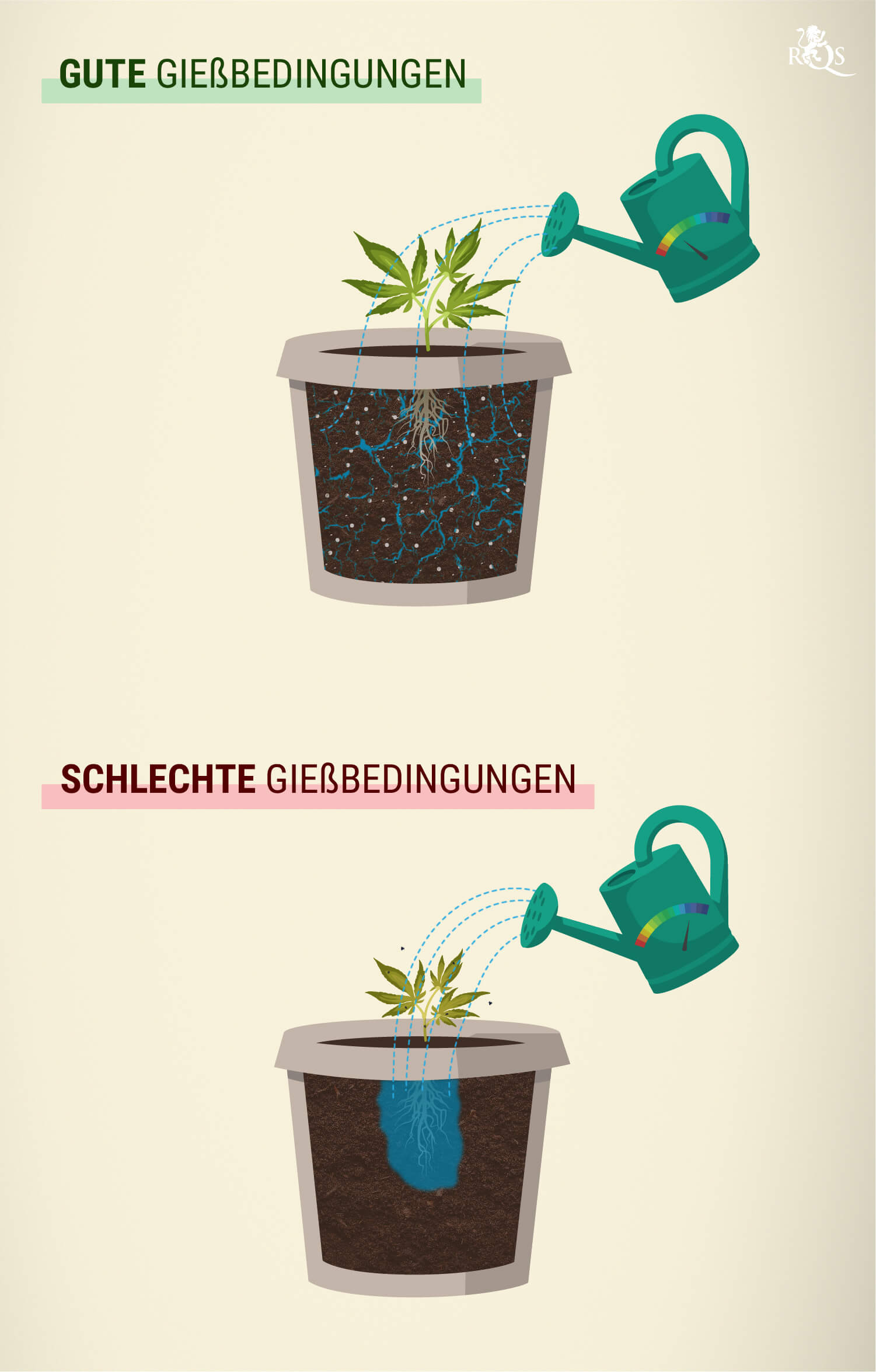 Wie Viel Wasser Solltest Du Deinen Cannabispflanzen Geben?