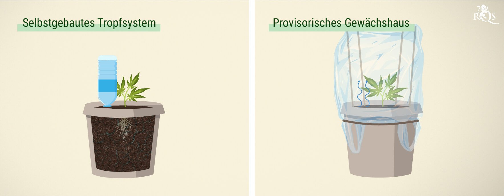 Preiswerte Optionen Preiswerte Optionen