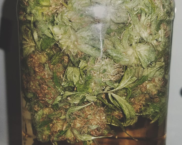 Cannabis Water Curing