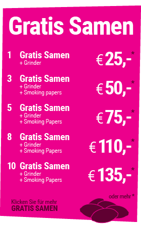 kostenlose Hanfsamen