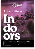 Indoor_guide_de