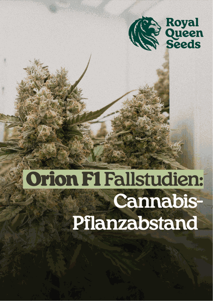 Plant_spacing_de