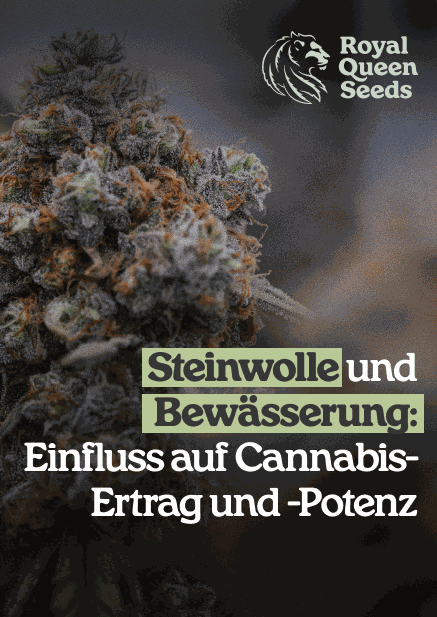Rockwool_choice_de